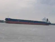 மொத்த கேரியர் விற்பனைக்கு
