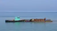 வேலை செய்யும் படகுகள் விற்பனைக்கு