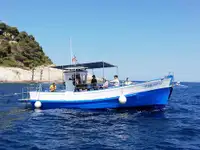 Trawler விற்பனைக்கு