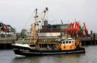 Trawler விற்பனைக்கு