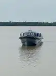 குழு படகு விற்பனைக்கு