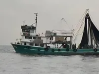 பர்ஸ் சீனர் விற்பனைக்கு