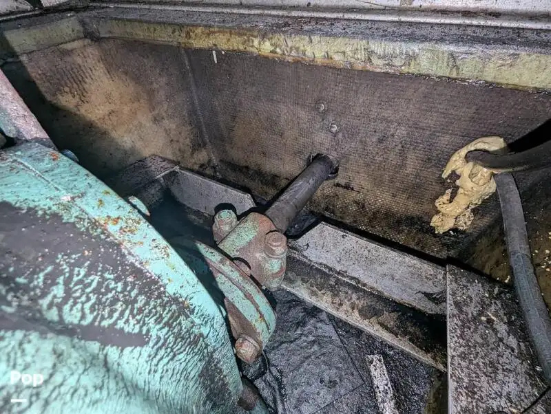 குரூஸ்ஃபெர்ரி விற்பனைக்கு