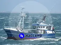 Beam trawler விற்பனைக்கு