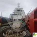 விநியோகக் கப்பல் விற்பனைக்கு