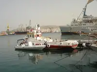 வேலை செய்யும் படகுகள் விற்பனைக்கு