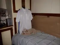 காவல் படகு விற்பனைக்கு