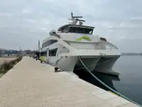 கேடமரன் விற்பனைக்கு