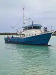 டிராலர் விற்பனைக்கு