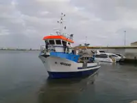 இழுக்கும் படகு விற்பனைக்கு