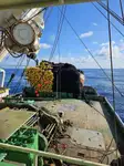 Purse seiner விற்பனைக்கு