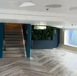 குரூஸ்ஃபெர்ரி விற்பனைக்கு