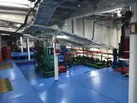 Ro-Ro ship விற்பனைக்கு