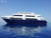 டைவ் ஆதரவு விற்பனைக்கு