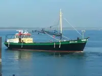 டிராலர் விற்பனைக்கு
