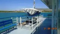 Ro-Ro ship விற்பனைக்கு