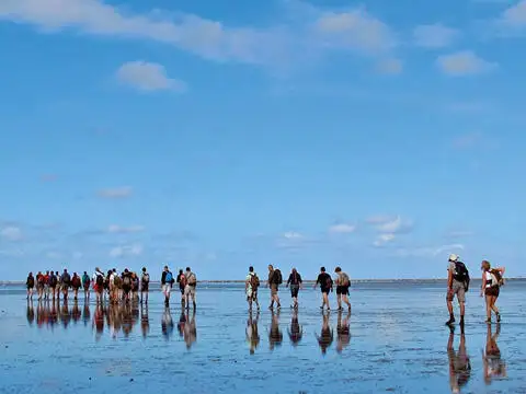 பarge விற்பனைக்கு