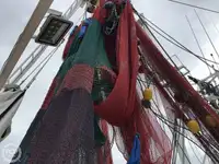 டிராலர் விற்பனைக்கு