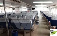 குரூஸ் கப்பல் விற்பனைக்கு