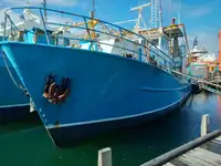 Trawler விற்பனைக்கு