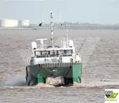 காற்றாலை சேவை கப்பல் விற்பனைக்கு