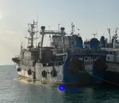 பெரிய உறைவிப்பான் டிராலர் விற்பனைக்கு