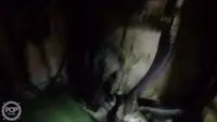 டிராலர் விற்பனைக்கு