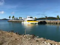 கட்டர் விற்பனைக்கு