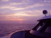 டைவ் ஆதரவு விற்பனைக்கு