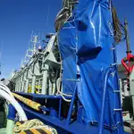 Purse seiner விற்பனைக்கு
