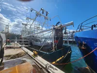 டிராலர் விற்பனைக்கு