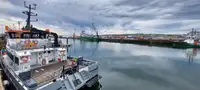 கேட்டமரன் விற்பனைக்கு