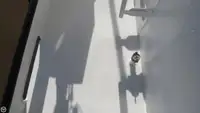 டிராலர் விற்பனைக்கு
