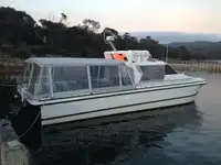 கேடமரன் விற்பனைக்கு