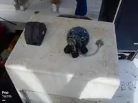டிராலர் விற்பனைக்கு
