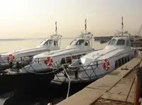 குழு படகு விற்பனைக்கு