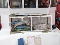 ஆய்வு கப்பல் விற்பனைக்கு
