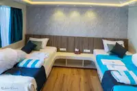 டைவ் ஆதரவு விற்பனைக்கு