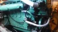 டைவ் ஆதரவு விற்பனைக்கு