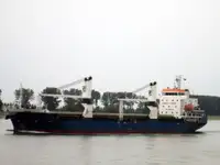 மொத்த கேரியர் விற்பனைக்கு