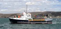 Purse seiner விற்பனைக்கு