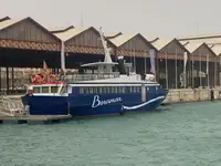 குரூஸ் கப்பல் விற்பனைக்கு