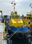 இழுக்கும் படகு விற்பனைக்கு