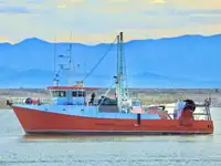 Trawler விற்பனைக்கு