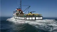 Trawler விற்பனைக்கு