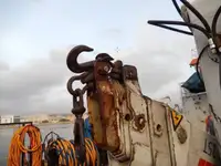 வேலை செய்யும் படகுகள் விற்பனைக்கு