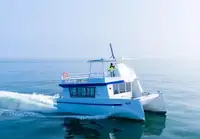 கேடமரன் விற்பனைக்கு