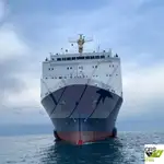 ரோ-ரோ கப்பல் விற்பனைக்கு