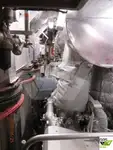 குரூஸ்ஃபெர்ரி விற்பனைக்கு