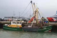 Trawler விற்பனைக்கு